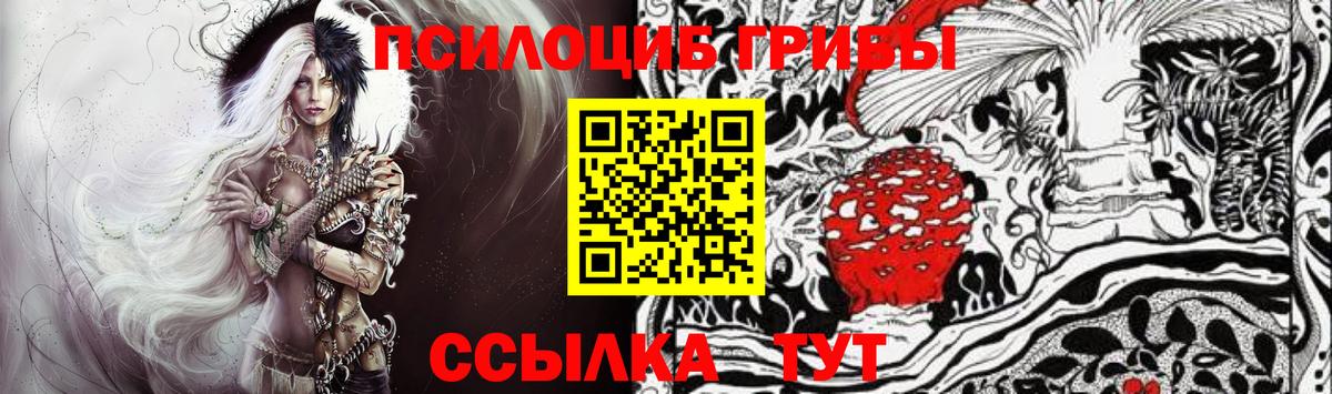 Семилуки  Галлюциногенные грибы прущие грибы  Вход с VPN 