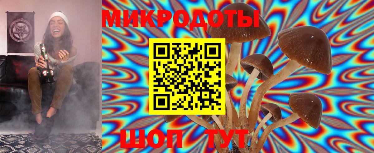 Галлюциногенные грибы MAGIC MUSHROOMS Семилуки